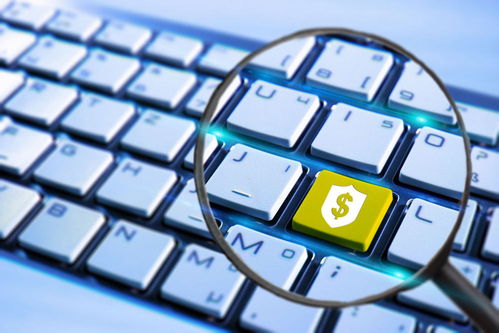 互联网保险竞争进入新常态 创新乱象后的理性回归