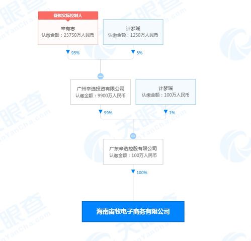 辛巴海南布局新电商版图 互联网销售迎区域战略升级